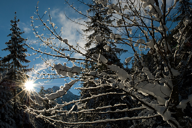 59_Tatry_Dolina Strazyska.jpg